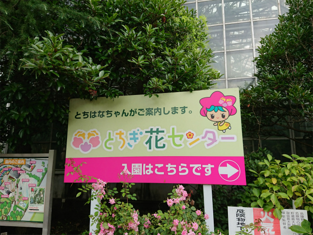 f:id:moyashinet:20200808103414j:plain