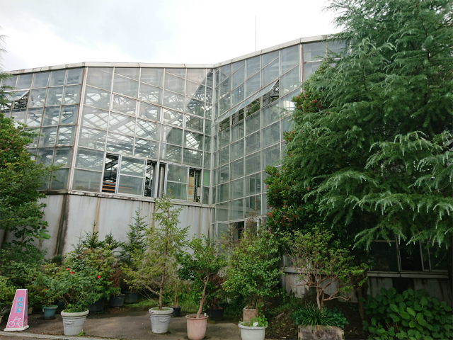 f:id:moyashinet:20200808103442j:plain