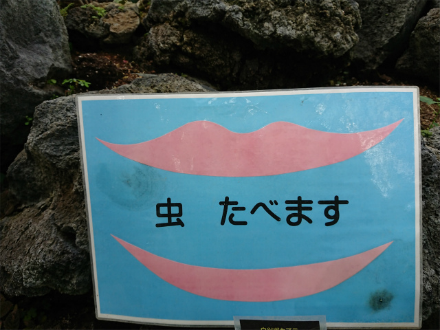 f:id:moyashinet:20200808103459j:plain