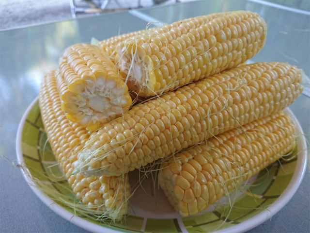 f:id:moyashinet:20200903210440j:plain