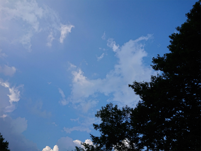 f:id:moyashinet:20200903210951j:plain