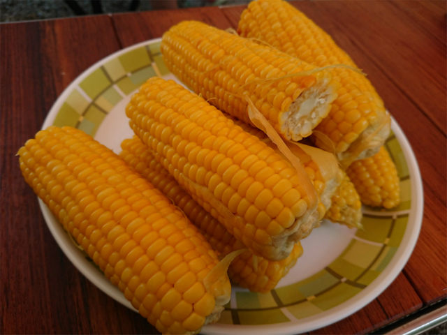 f:id:moyashinet:20200903212041j:plain