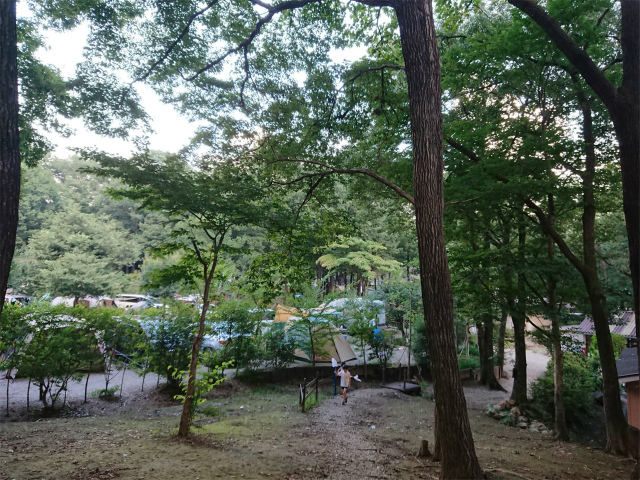 f:id:moyashinet:20200903212317j:plain