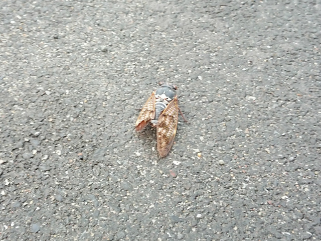 f:id:moyashinet:20200908211130j:plain