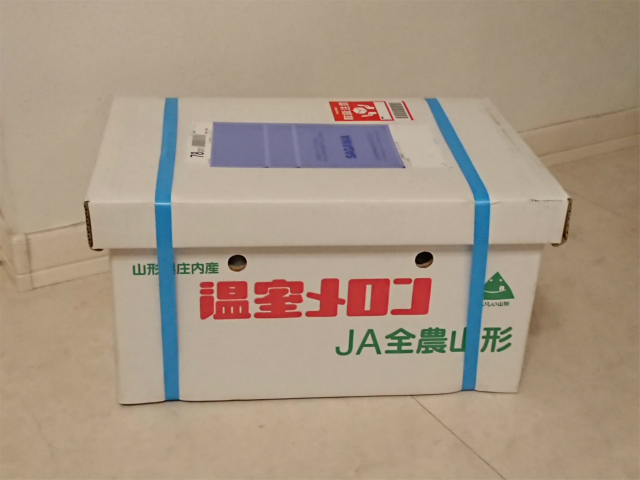 メロンは半切りで食べるのが最高に美味しいパート３ 山形県酒田市ふるさと納税 もやしさん家のもやもやな生活