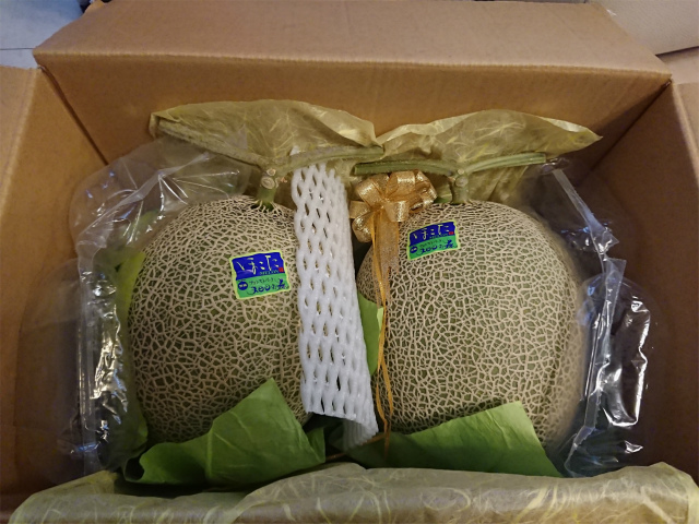 f:id:moyashinet:20201021224859j:plain