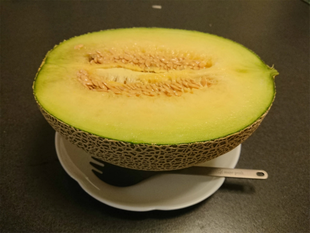 f:id:moyashinet:20201021224911j:plain