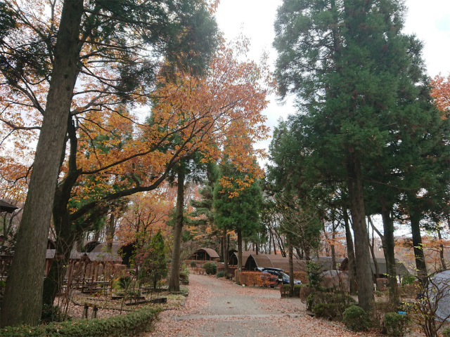 f:id:moyashinet:20201204222415j:plain