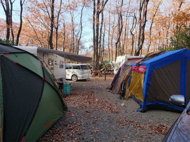 f:id:moyashinet:20201204223308j:plain