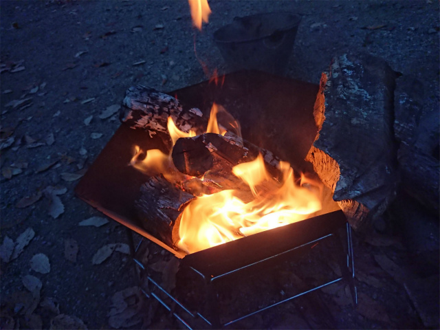 f:id:moyashinet:20201204230451j:plain