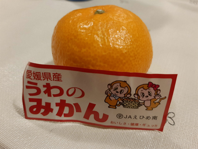 f:id:moyashinet:20201209220202j:plain