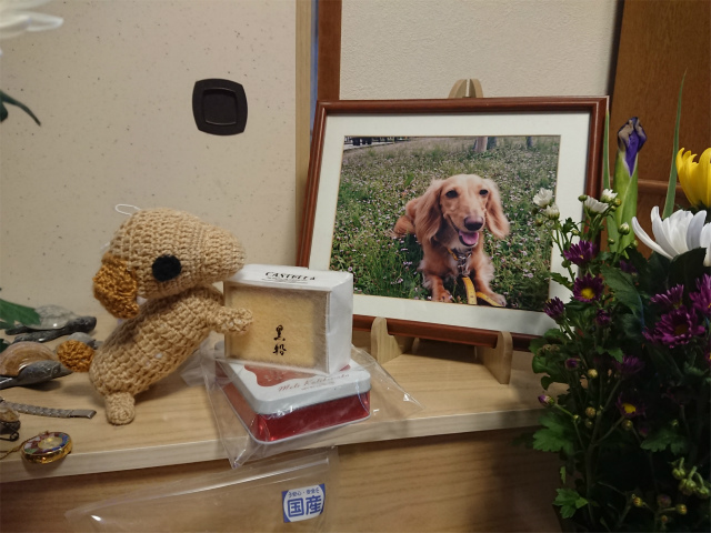 f:id:moyashinet:20201227220513j:plain