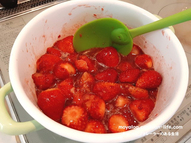 f:id:moyashinet:20210516213409j:plain