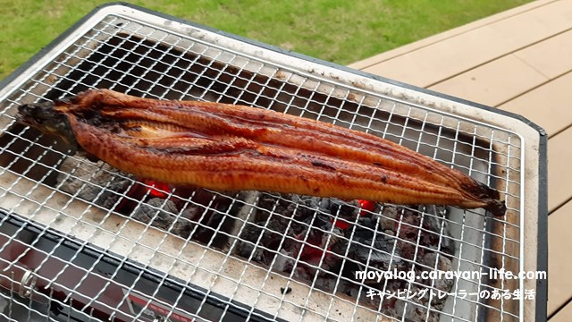 f:id:moyashinet:20210605235755j:plain