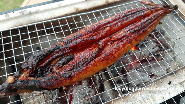 f:id:moyashinet:20210606000410j:plain