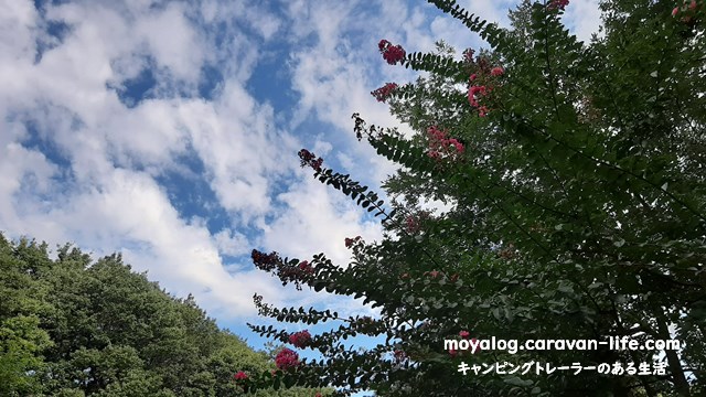 f:id:moyashinet:20210915205844j:plain