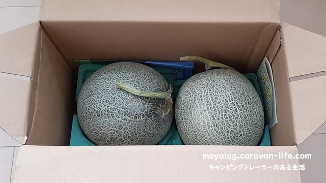 f:id:moyashinet:20210930223038j:plain