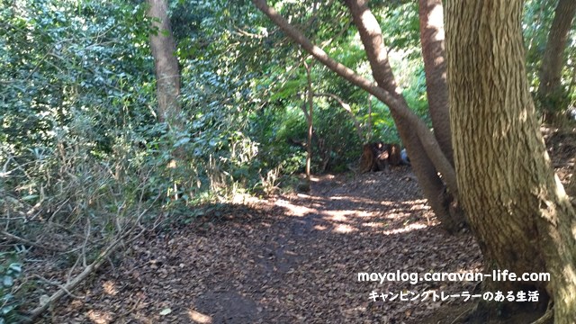 f:id:moyashinet:20211024234257j:plain