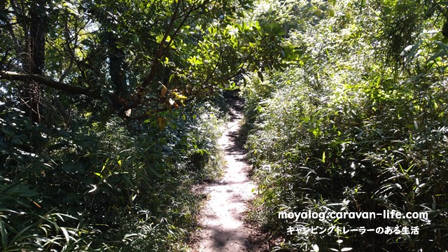 f:id:moyashinet:20211024234457j:plain