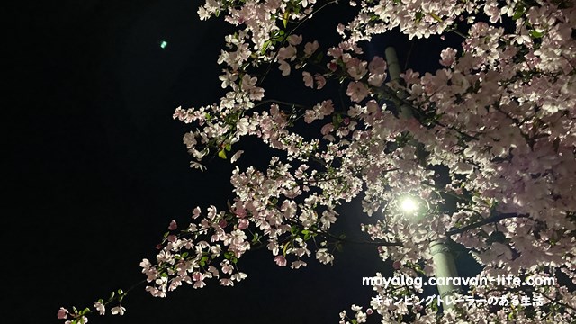 f:id:moyashinet:20220412233911j:plain