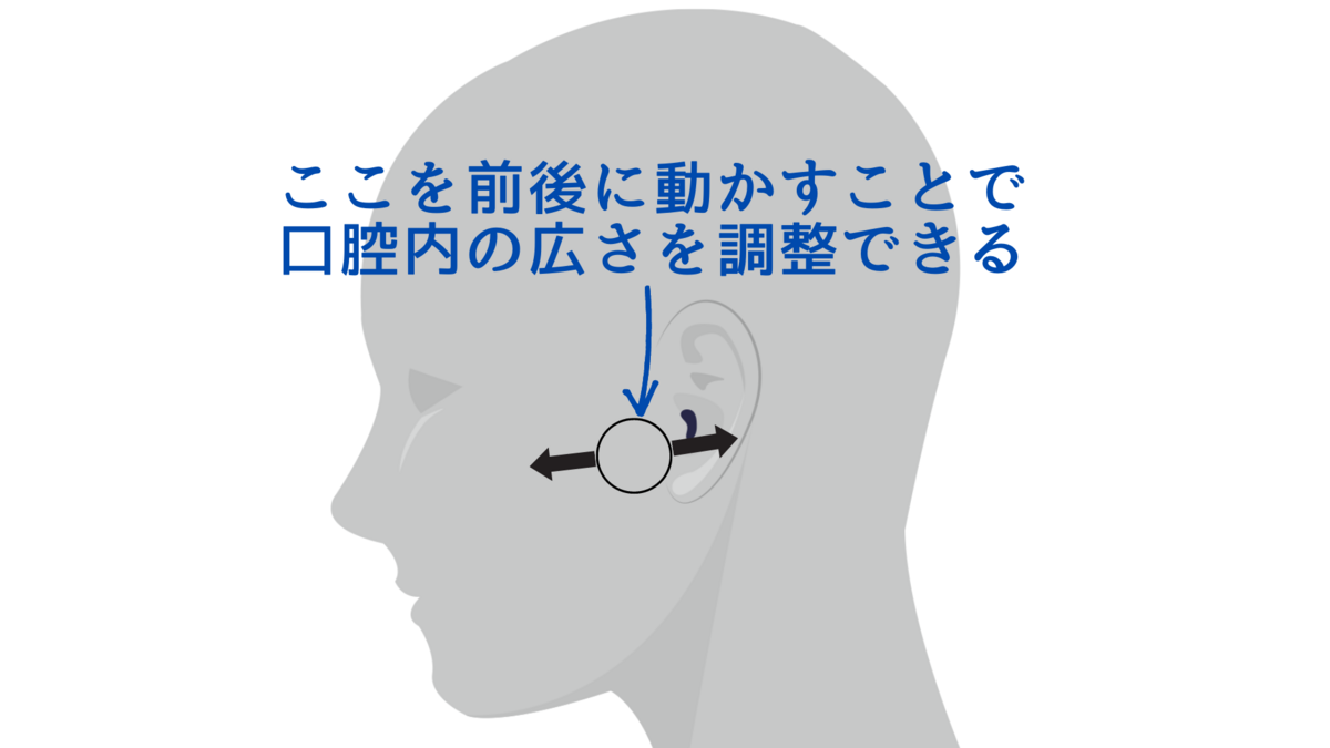 the-oral-cavity-adjustment