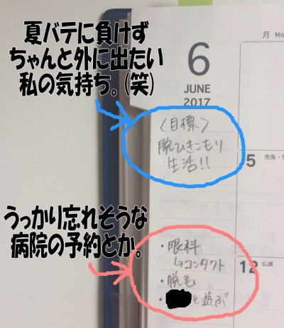 f:id:moyolog41:20170531122043j:plain