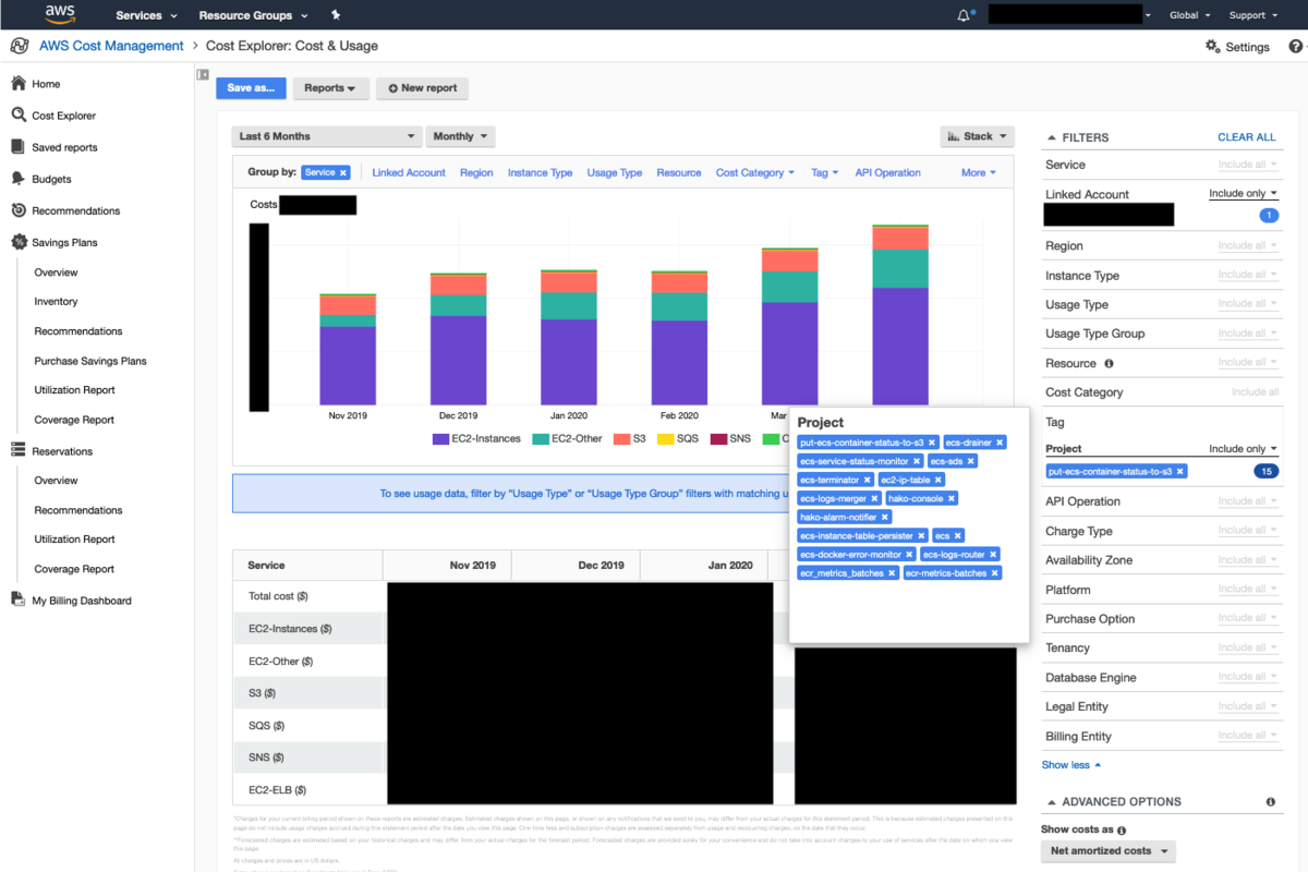 Cost Explorer によるカテゴリにかかるコストの可視化例