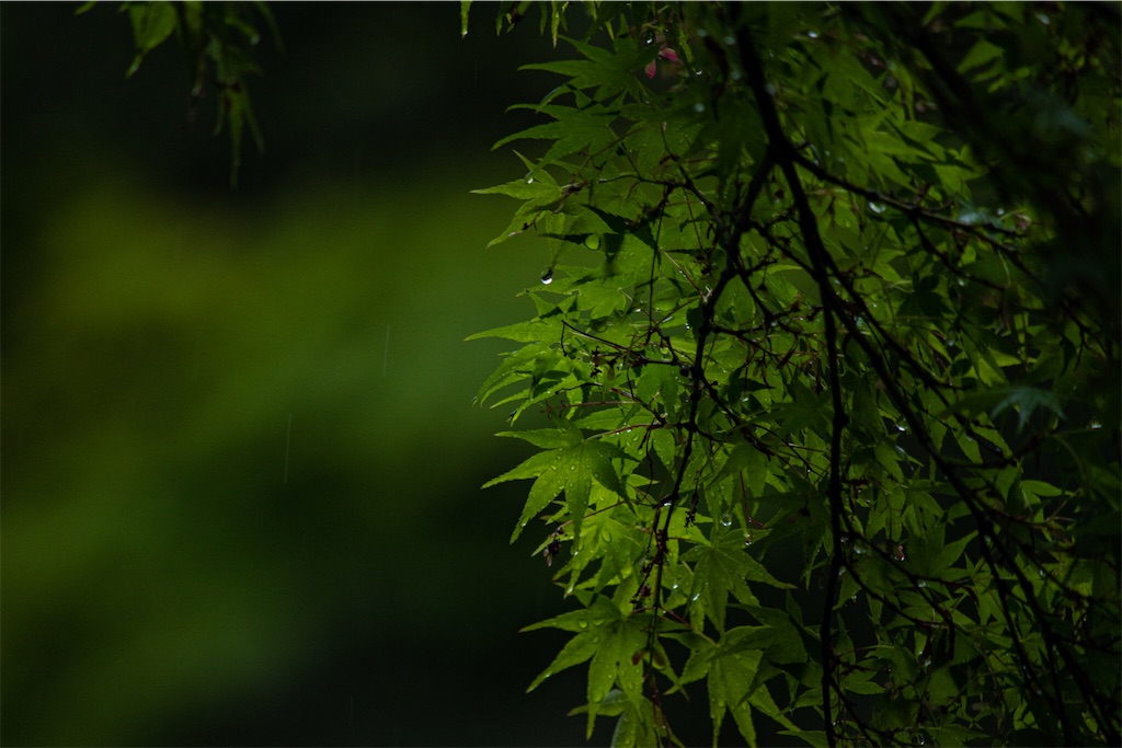 f:id:mozgs:20210428194249j:image