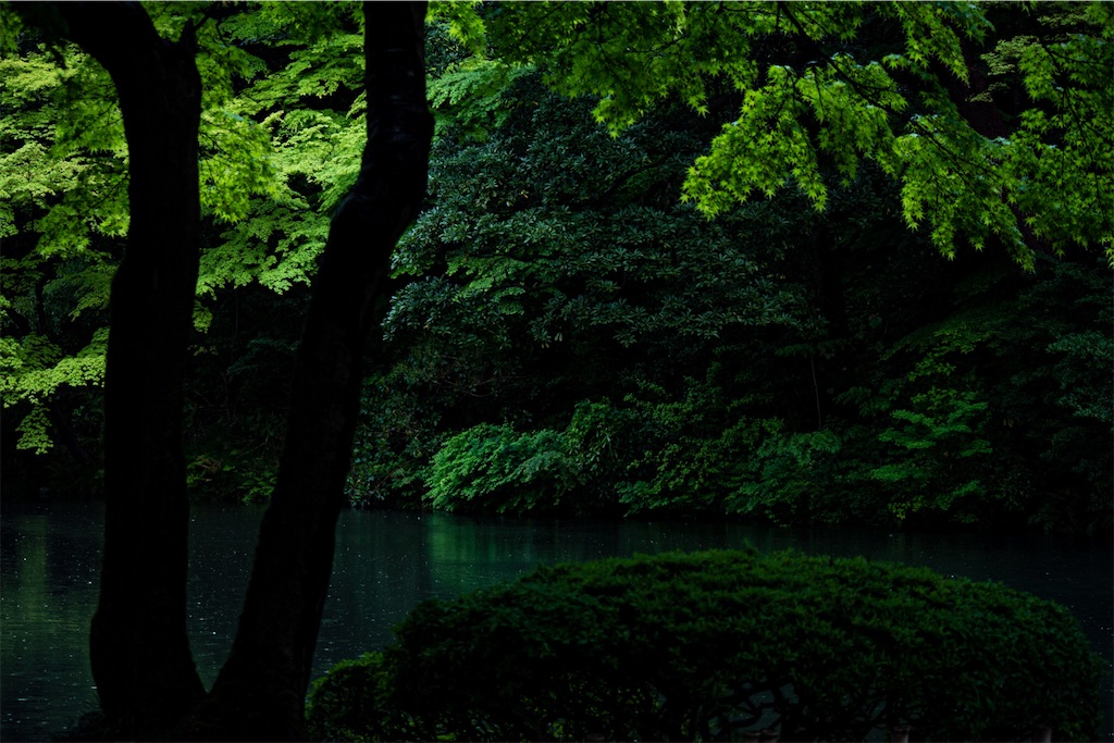 f:id:mozgs:20210428194252j:image