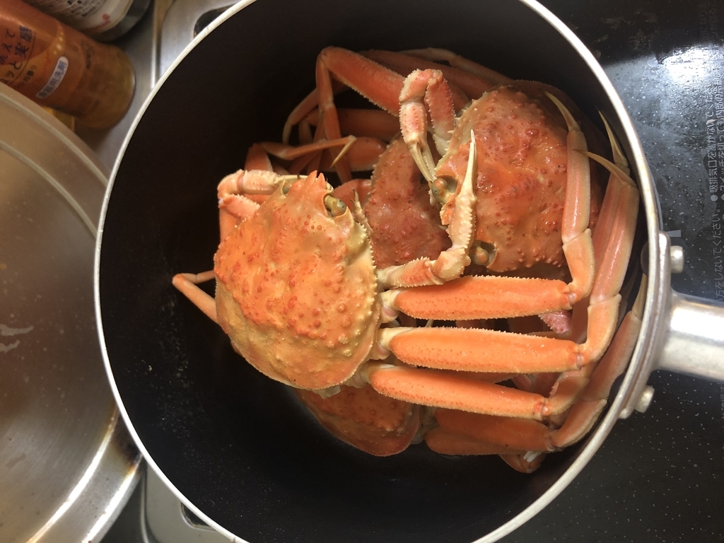 f:id:moznion:20181229172308j:plain