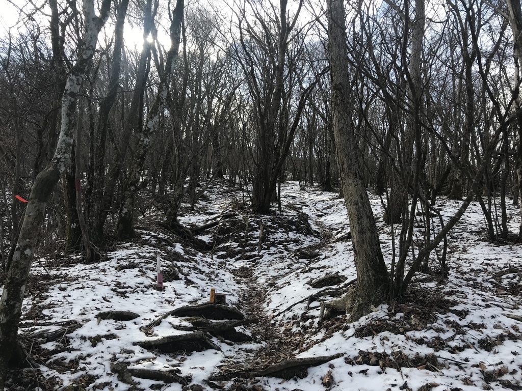f:id:moznion:20190120112535j:plain f:id:moznion:20190120112535j:plain