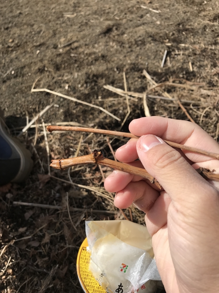 f:id:moznion:20190120122719j:plain f:id:moznion:20190120122719j:plain