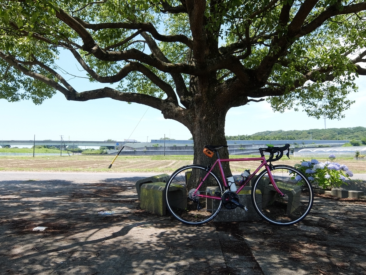 f:id:mozooq:20200624200740j:plain