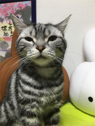 f:id:mozukun22:20180615124649j:image f:id:mozukun22:20180615124649j:image