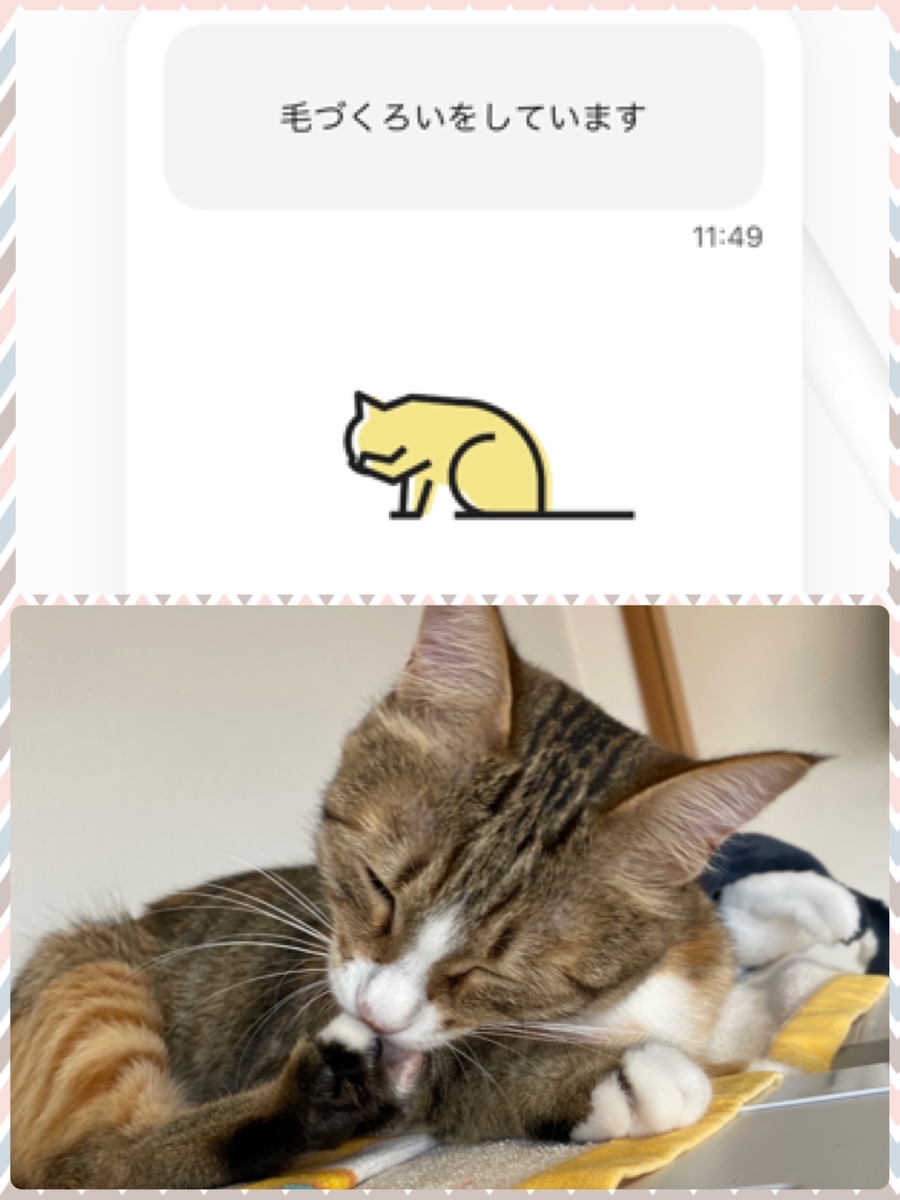 f:id:mp87:20200623233255j:plain