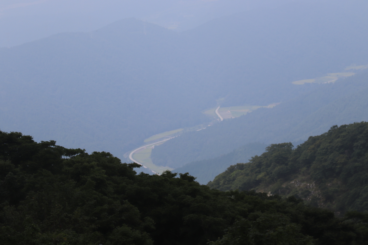f:id:mp87:20200822222845j:plain f:id:mp87:20200822222845j:plain