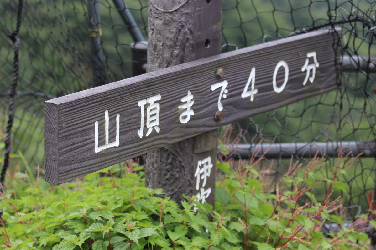 f:id:mp87:20200822223315j:plain f:id:mp87:20200822223315j:plain
