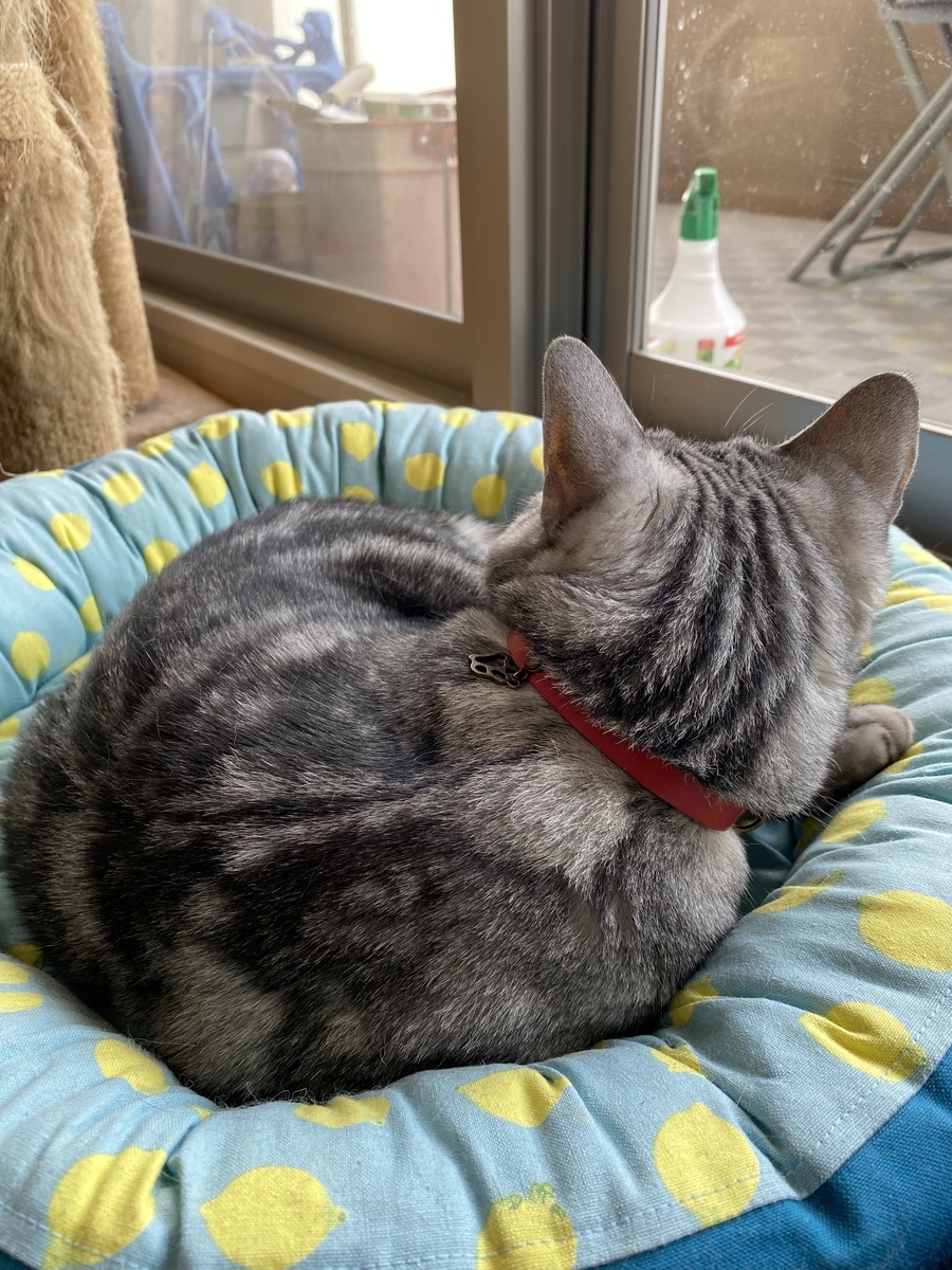 f:id:mp87:20200905005402j:plain