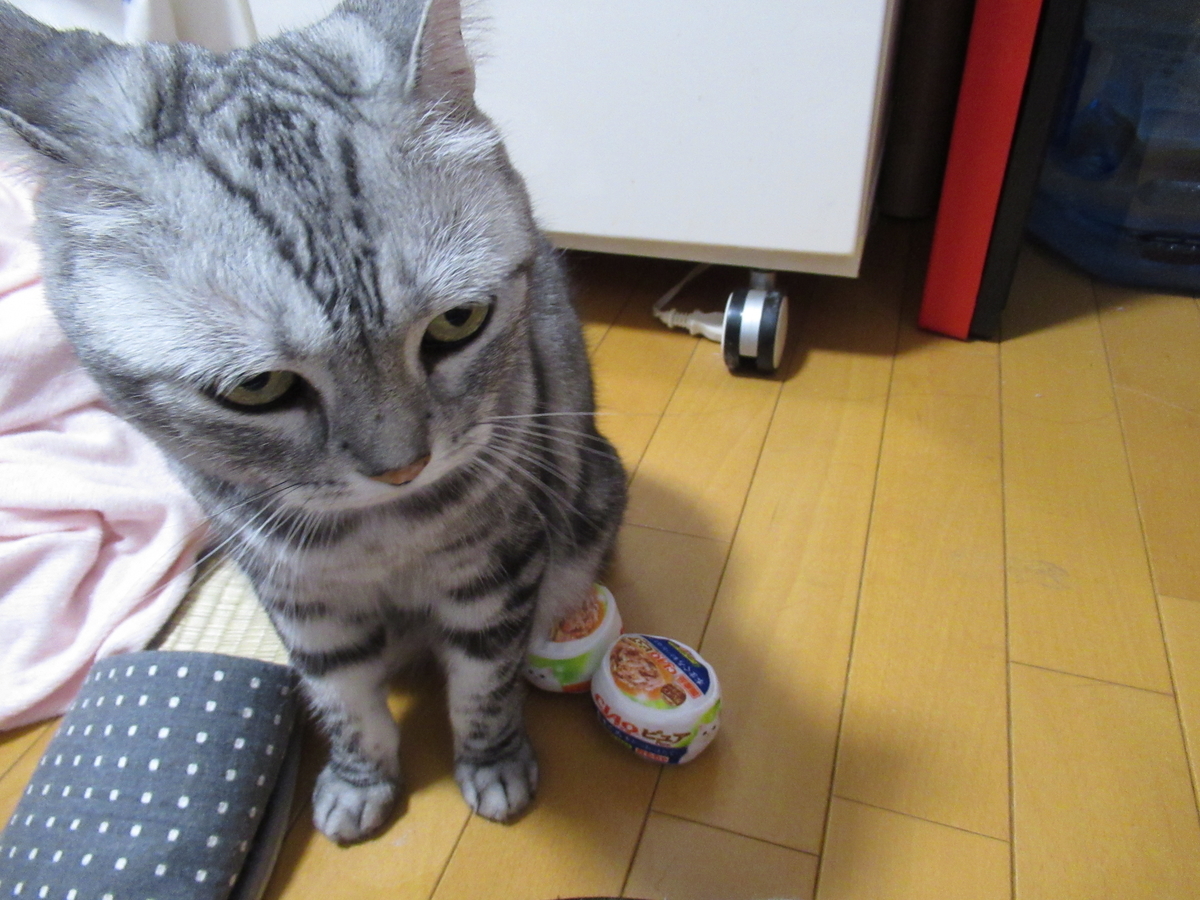 f:id:mp87:20201004231825j:plain