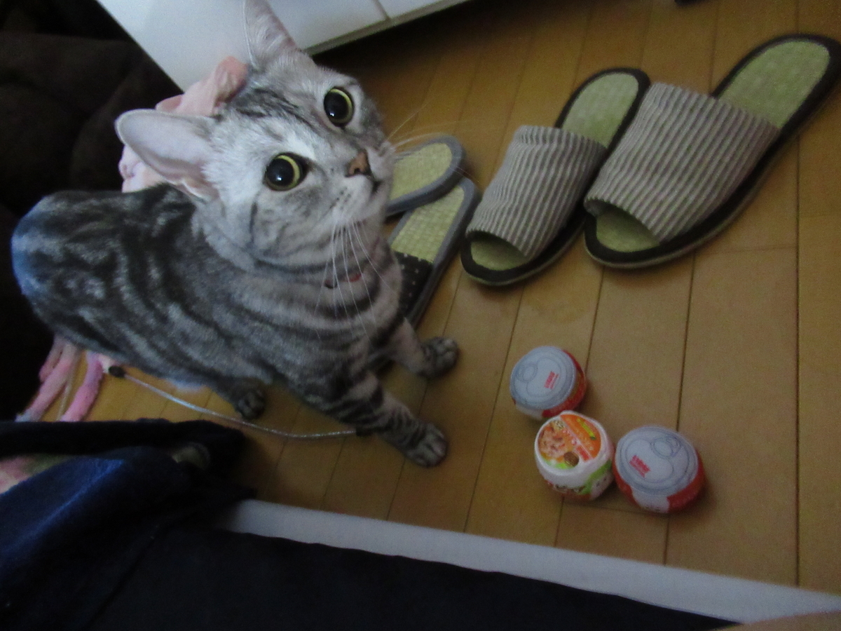 f:id:mp87:20201004232341j:plain
