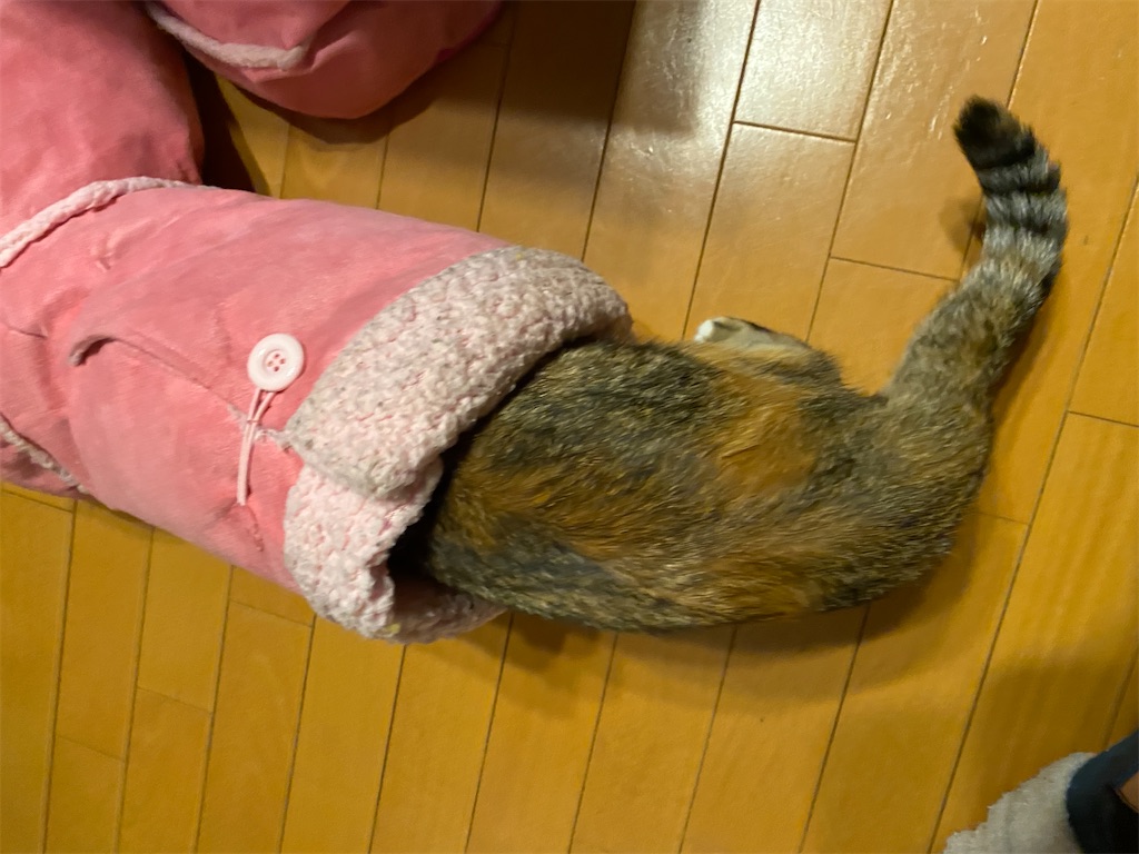 f:id:mp87:20201015224449j:image