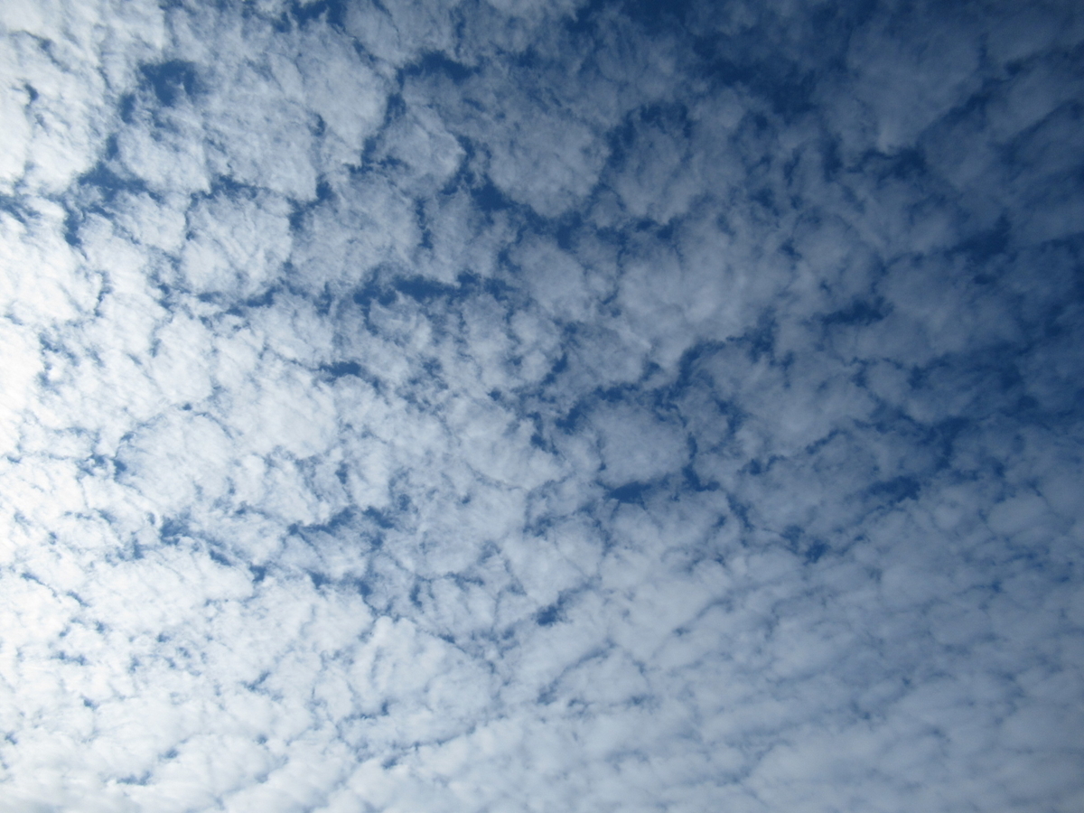 f:id:mp87:20201018215558j:plain f:id:mp87:20201018215558j:plain