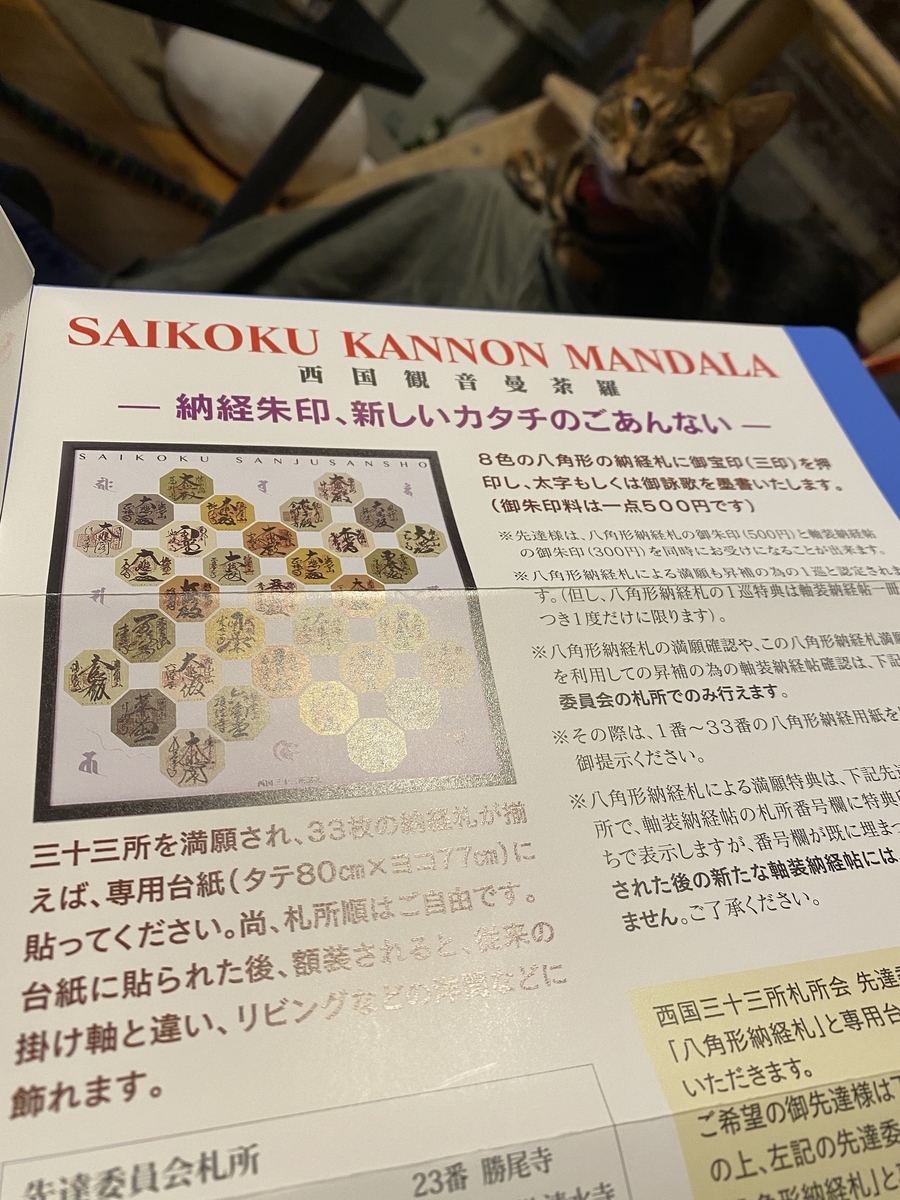f:id:mp87:20201018221406j:plain f:id:mp87:20201018221406j:plain