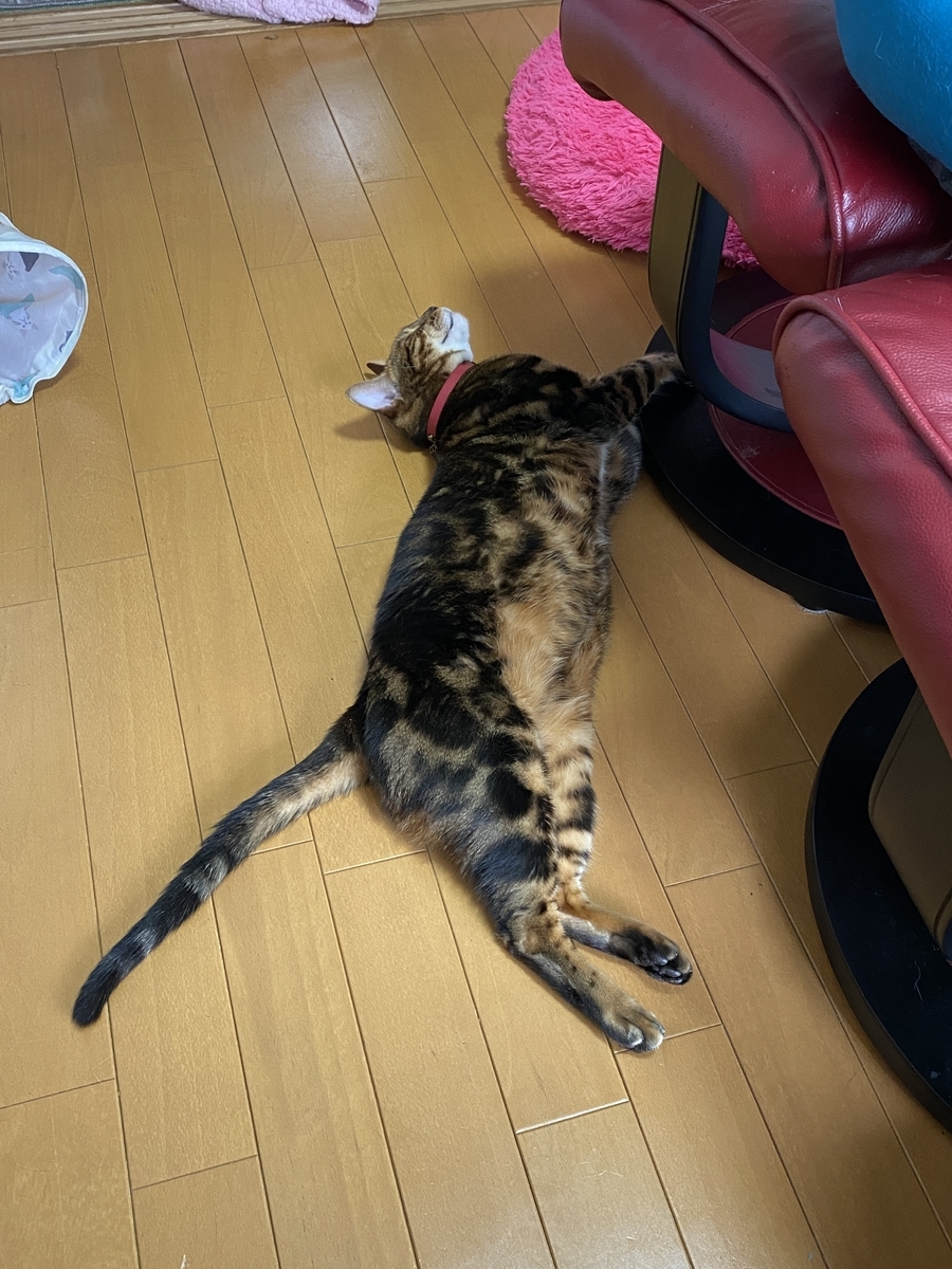 f:id:mp87:20201020233447j:plain