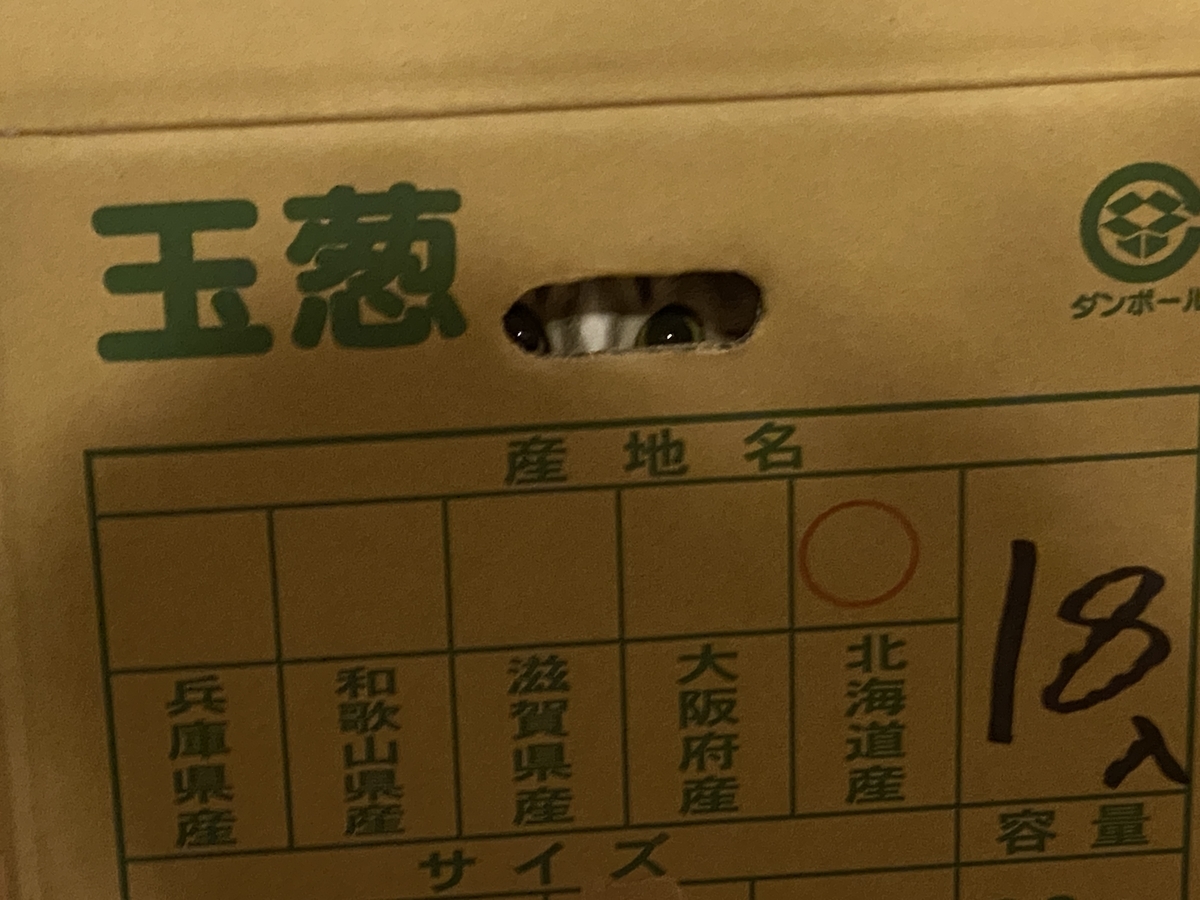 f:id:mp87:20201206023017j:plain