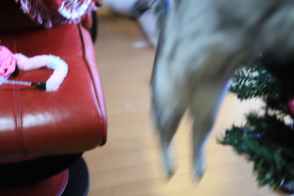 f:id:mp87:20201219004809j:plain