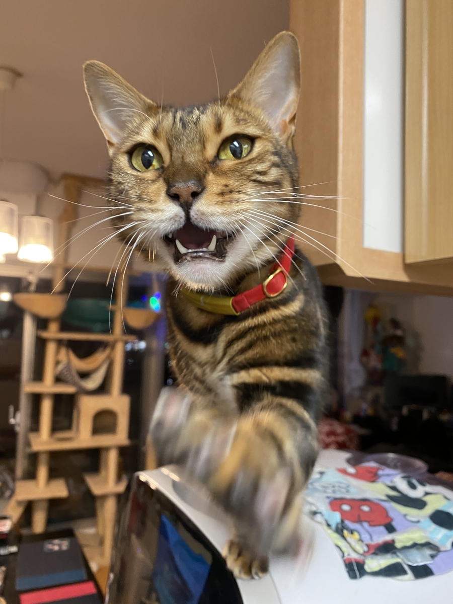 f:id:mp87:20201219005737j:plain