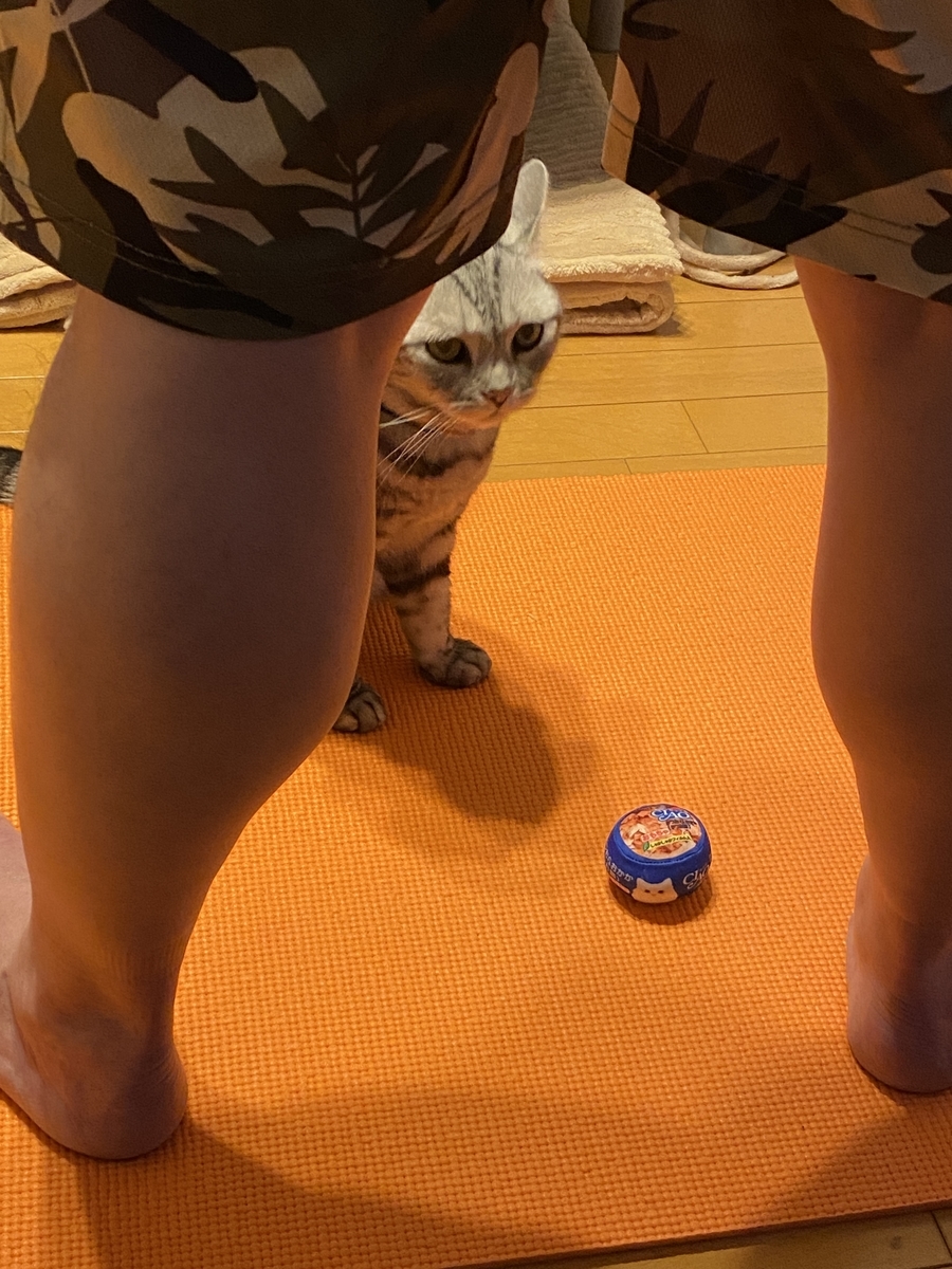 f:id:mp87:20201219010031j:plain