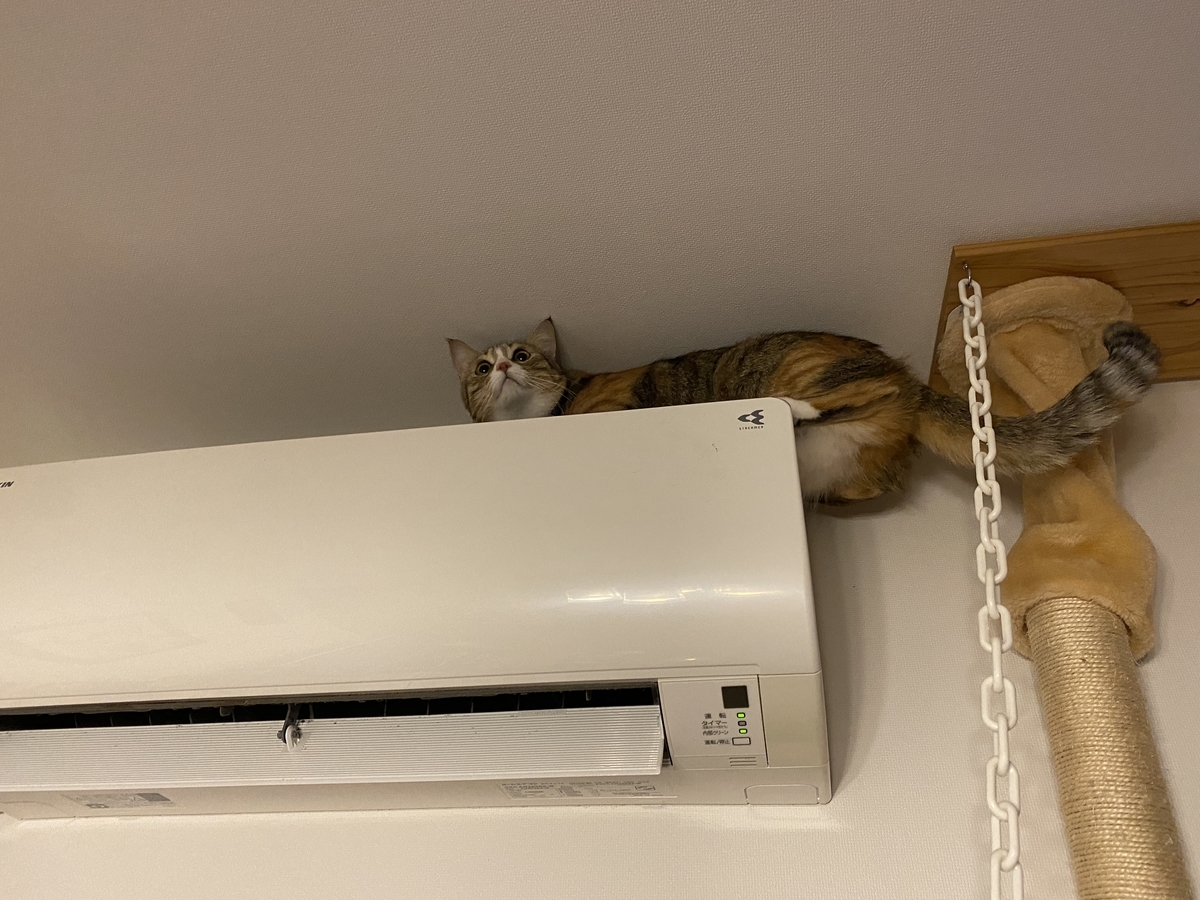 f:id:mp87:20201219010920j:plain