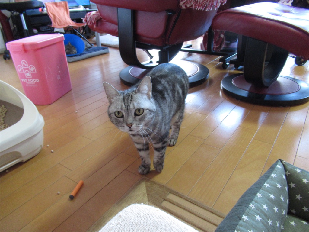 f:id:mp87:20201221195258j:image